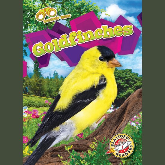 Goldfinches - cover