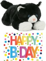 Cadeau setje pluche zwart/witte kat/poes knuffel 25 cm met grote A5 formaat Happy Birthday wenskaart