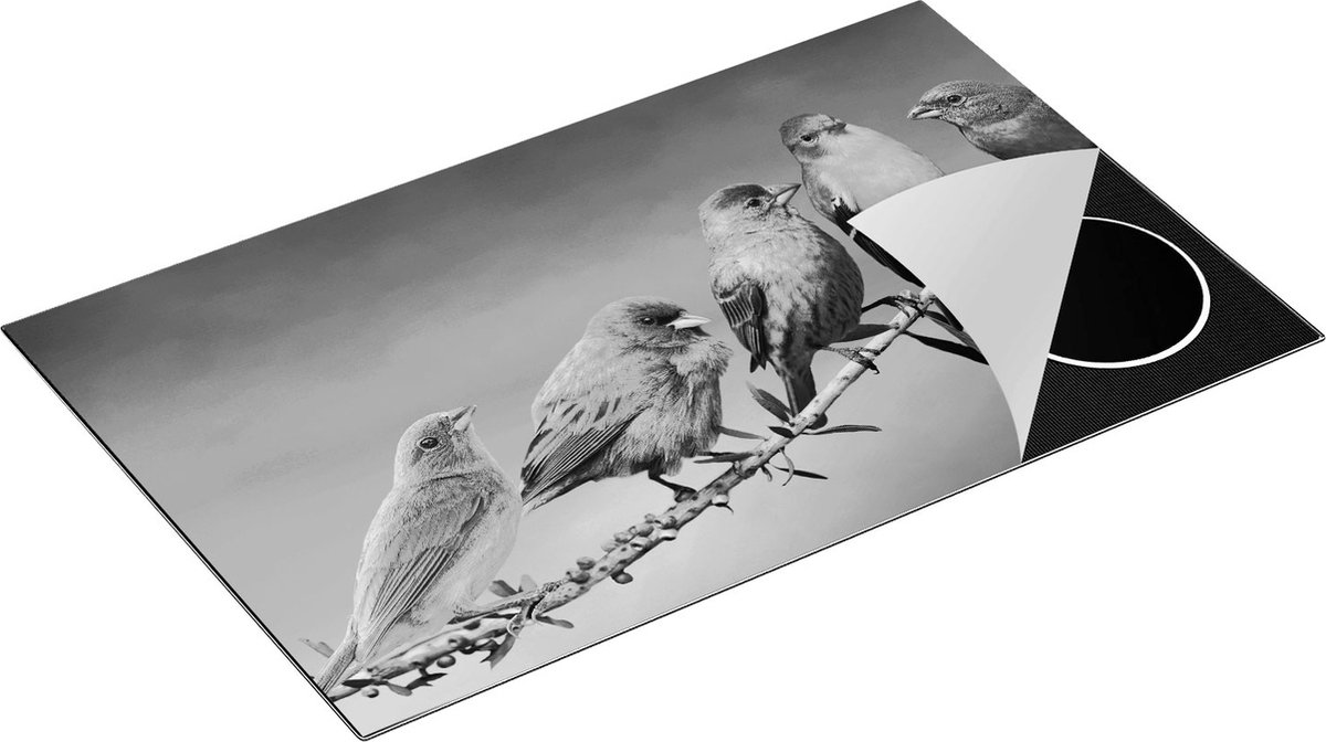Chefcare Inductie Beschermer Kleurrijke Zangvogels op een Tak - Kleur - Zwart Wit - 85x50 cm - Afdekplaat Inductie - Kookplaat Beschermer - Inductie Mat