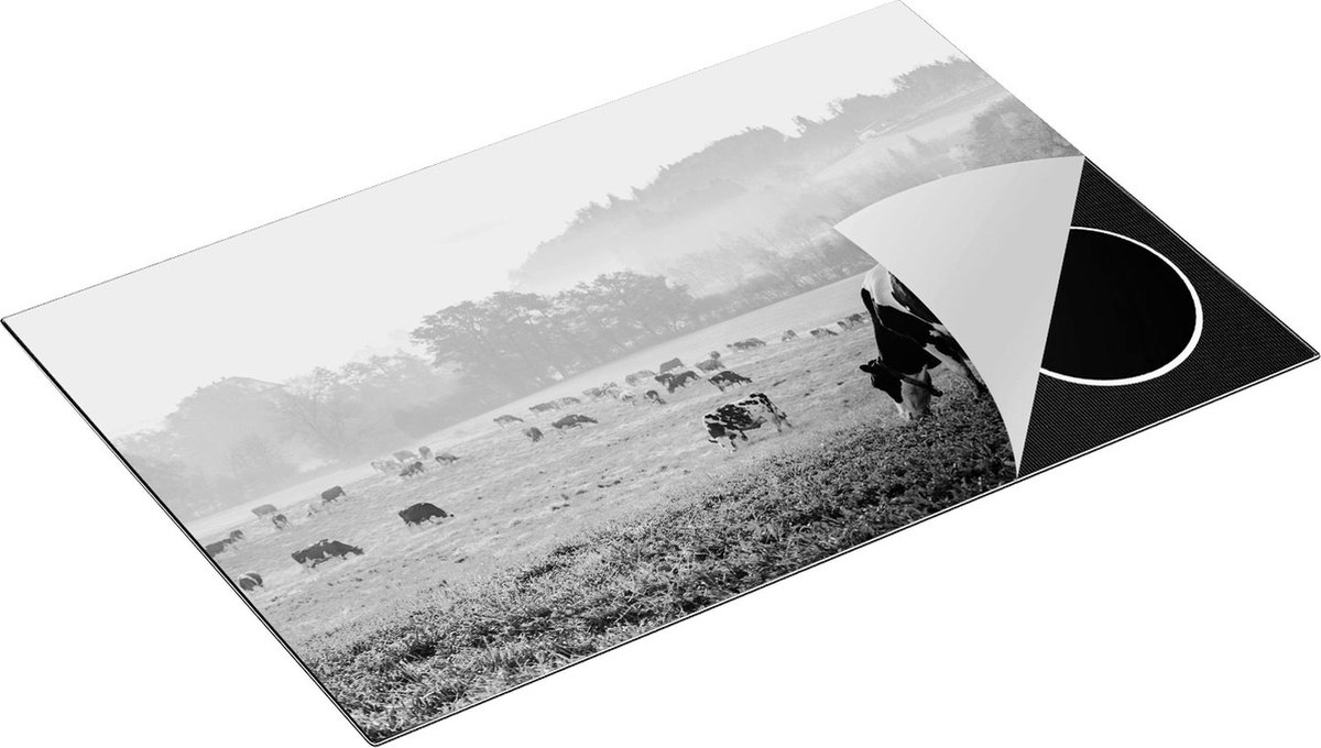 Chefcare Inductie Beschermer Zwart Witte Koeien in de Wei - Zwart Wit - 81x52 cm - Afdekplaat Inductie - Kookplaat Beschermer - Inductie Mat