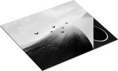 Chefcare Inductie Beschermer Silhouet Zwerm Vogels bij Zonsondergang - Zwart Wit - 60x50 cm - Afdekplaat Inductie - Kookplaat Beschermer - Inductie Mat