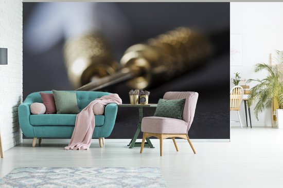 Papier peint photo peint photo vinyle - Fléchettes largeur 450 cm x hauteur 300 cm - Tirage photo sur papier peint (disponible en 7 tailles)