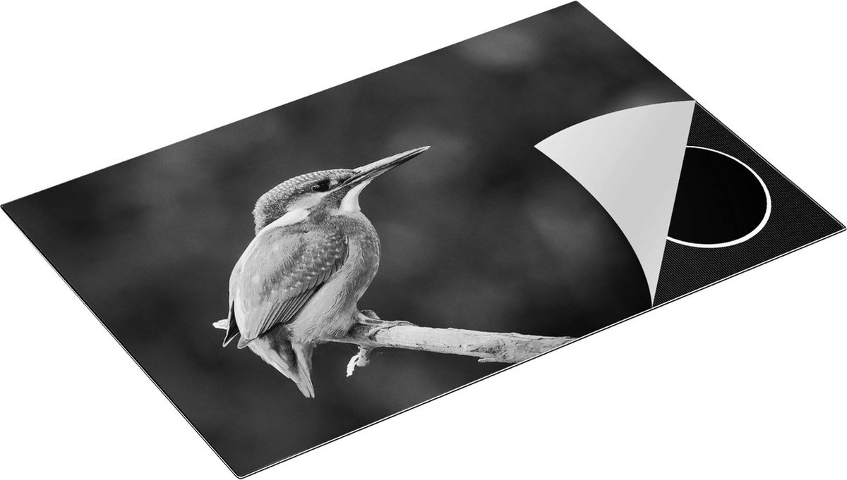 Chefcare Inductie Beschermer Blauwe IJsvogel op een Tak - Zwart Wit - 81,6x52,7 cm - Afdekplaat Inductie - Kookplaat Beschermer - Inductie Mat