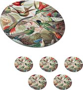 Sous- Sous-verres pour verres - Ronds - Colibri - Vintage - Ernst Haeckel - Vogels - 10x10 cm - Sous-verres - 6 pièces