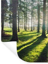 Stickers muraux - Arbres - Nature - Forêt - 120x160 cm - Film adhésif XXL