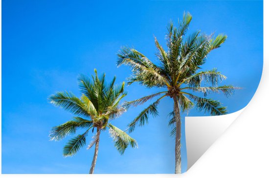 Stickers muraux - Film autocollant - Palmier - Été - Tropical - 120x80 cm - Film adhésif - Stickers muraux Chambre d'enfant - Papier peint autocollant