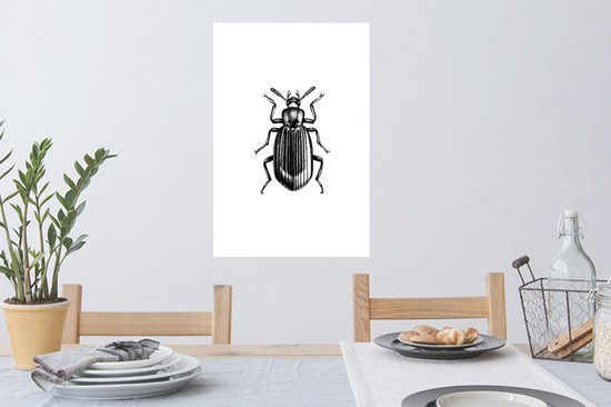 Stickers muraux - Scarabée - Animaux - Vintage - 40x60 cm - Film adhésif