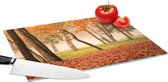 Glazen Snijplank - 39x28 - Bladeren - Herfst - Bos - Snijplanken Glas