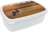 Broodtrommel Wit - Lunchbox - Brooddoos - Koe - Zon - Dieren - 18x12x6 cm - Volwassenen