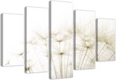 Trend24 - Canvas Schilderij - Blowers - Vijfluik - Bloemen - 100x70x2 cm - Beige