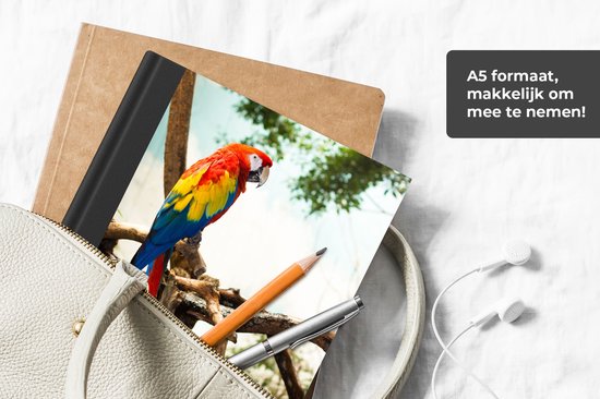 Carnet - Cahier d'écriture - Perroquet - Vogel - Arc-en-ciel - Tropical - Carnet - Taille A5 - Bloc-notes