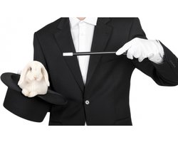 Carnaval verkleed toverstokje/toverstaf - zwart - kunststof - 33 cm - Tovenaar/Goochelaar artikelen