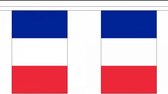 Luxe Frankrijk vlaggenlijn 9 meter