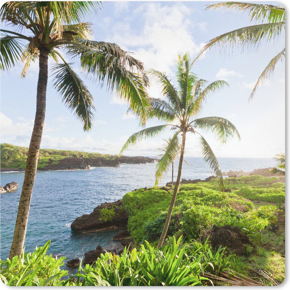 Muismat XXL 80x80 cm - Bureau onderlegger - Bureau mat Tropisch landschap met palmbomen in Maui - Bureaumat - Gaming mousepad xl - Bureaulegger groot - Computer deskmat