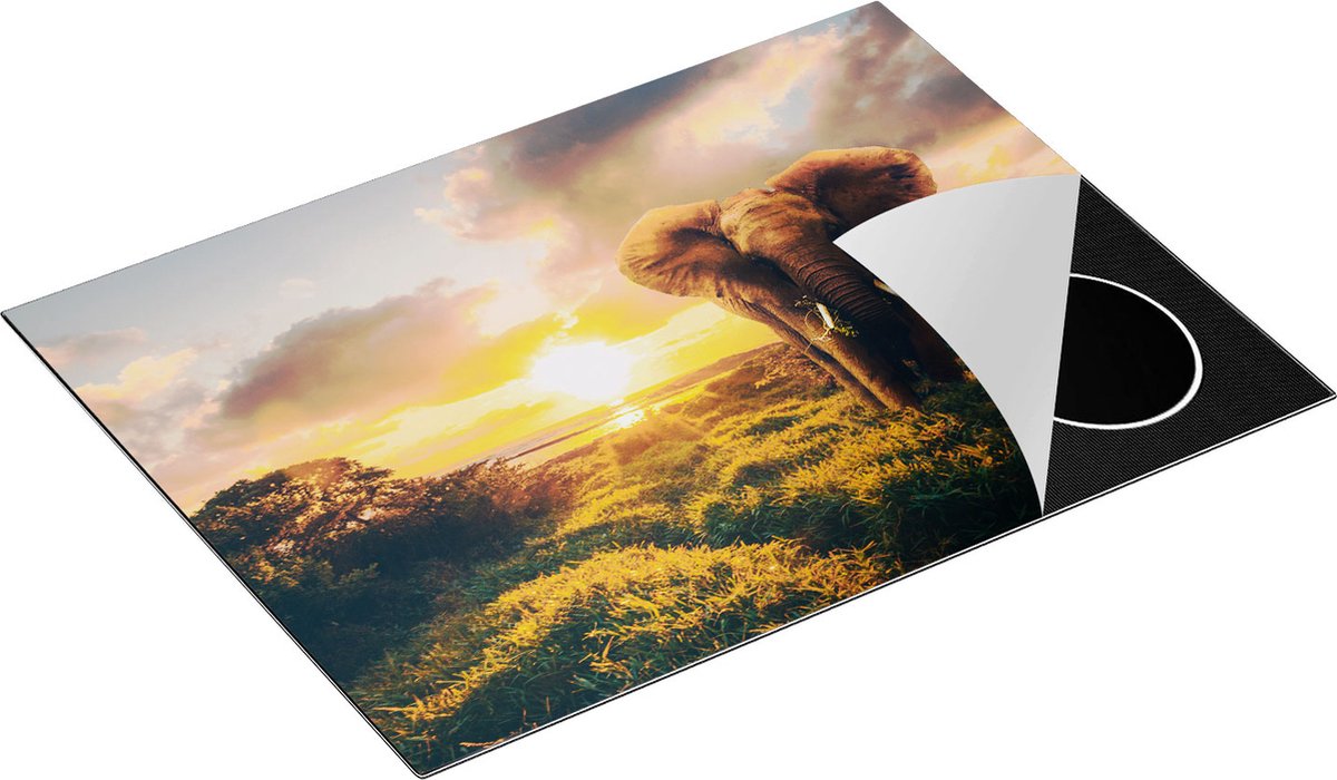 Chefcare Inductie Beschermer Olifant in het Wild bij Zonsondergang - 70x55 cm - Afdekplaat Inductie - Kookplaat Beschermer - Inductie Mat