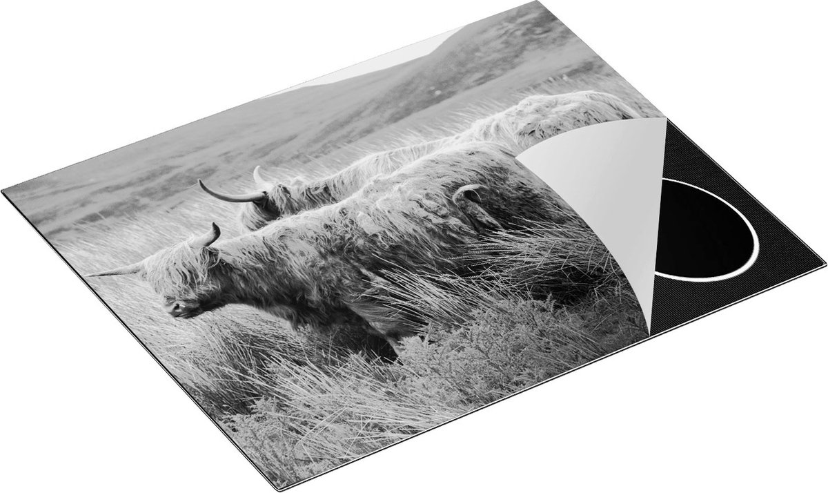 Chefcare Inductie Beschermer Twee Schotse Hooglanders in het Heuvelvelachtige Veld - Zwart Wit - 65x50 cm - Afdekplaat Inductie - Kookplaat Beschermer - Inductie Mat