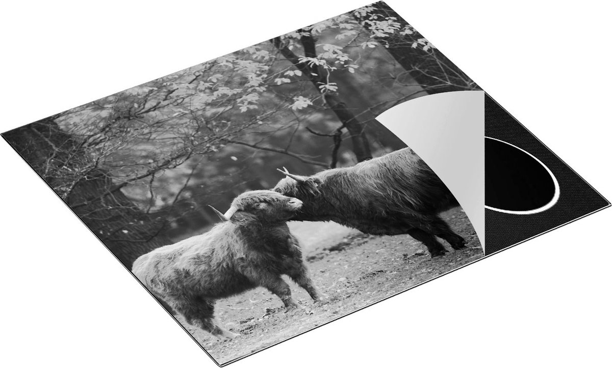 Chefcare Inductie Beschermer Twee Schotse Hooglanders Kussen Elkaar - Liefde - Zwart Wit - 57,6x51,6 cm - Afdekplaat Inductie - Kookplaat Beschermer - Inductie Mat