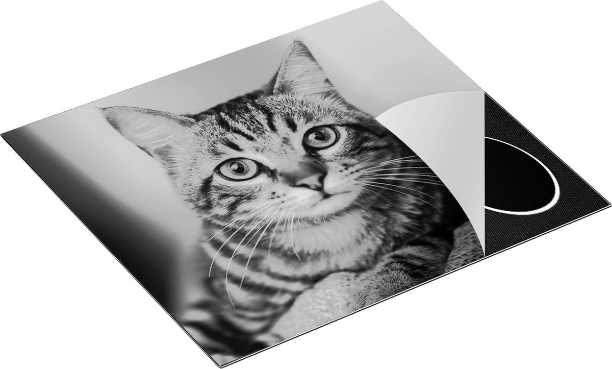 Chefcare Inductie Beschermer Kat met Wijde Ogen - Zwart Wit - 59x51 cm - Afdekplaat Inductie - Kookplaat Beschermer - Inductie Mat