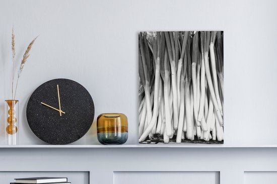 Tableau sur toile Oignons de Saint-Jean allongés empilés dans une caisse - noir et blanc - 30x40 cm - Décoration murale