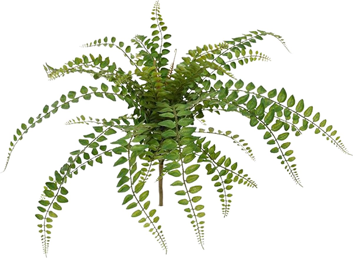 maxifleur Kunstplanten Rotundifolia Varen kunstplant 55cm Groen