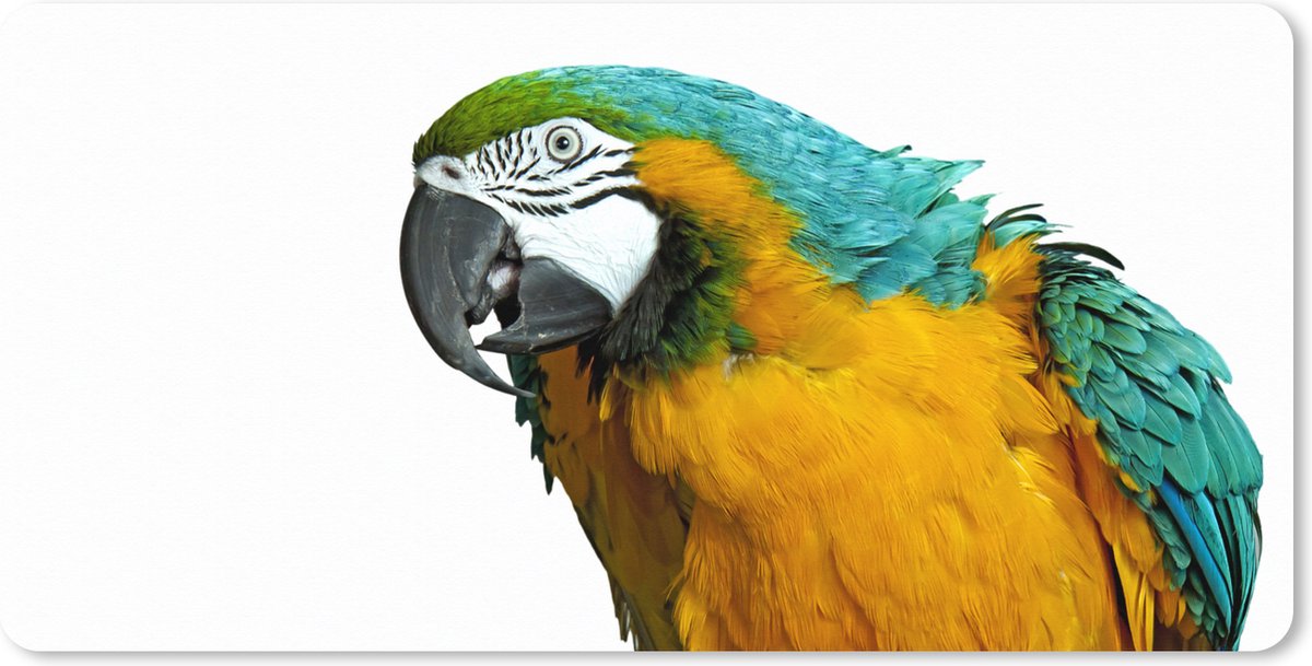 Muismat XXL 100x50 cm - Bureau onderlegger - Bureau mat Papegaai - Vogel - Veren - Portret - Bureaumat - Gaming mousepad xl - Bureaulegger groot - Computer deskmat