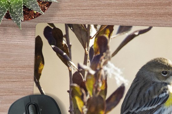 Muismat XXL - Bureau onderlegger - Bureau mat - Vogel tussen een tak met bladeren - 100x50 cm - XXL muismat