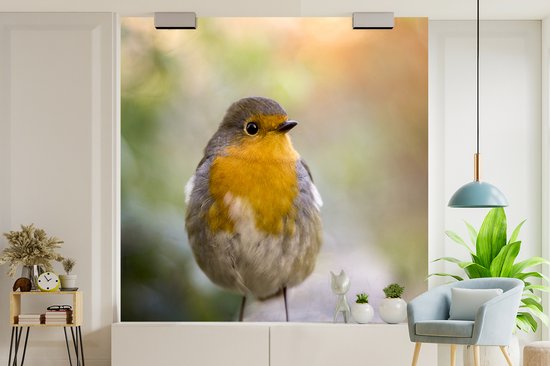 Papier Peint - Papier peint photo Vogels - Rouge-gorge - Arbre - Largeur 300 cm x Hauteur 300 cm