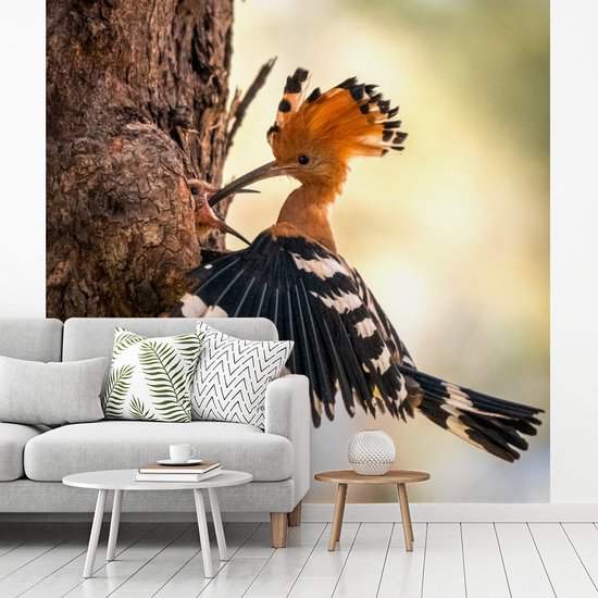 Papier Peint - Papier peint photo Vogel - Arbre - Forêt - Largeur 300 cm x Hauteur 300 cm