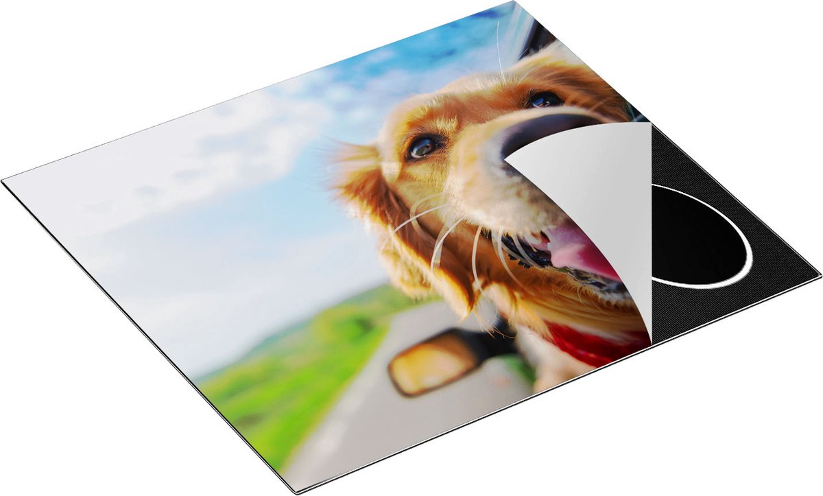 Chefcare Inductie Beschermer Golden Retriever Hond uit een Auto Raam - 59x51 cm - Afdekplaat Inductie - Kookplaat Beschermer - Inductie Mat