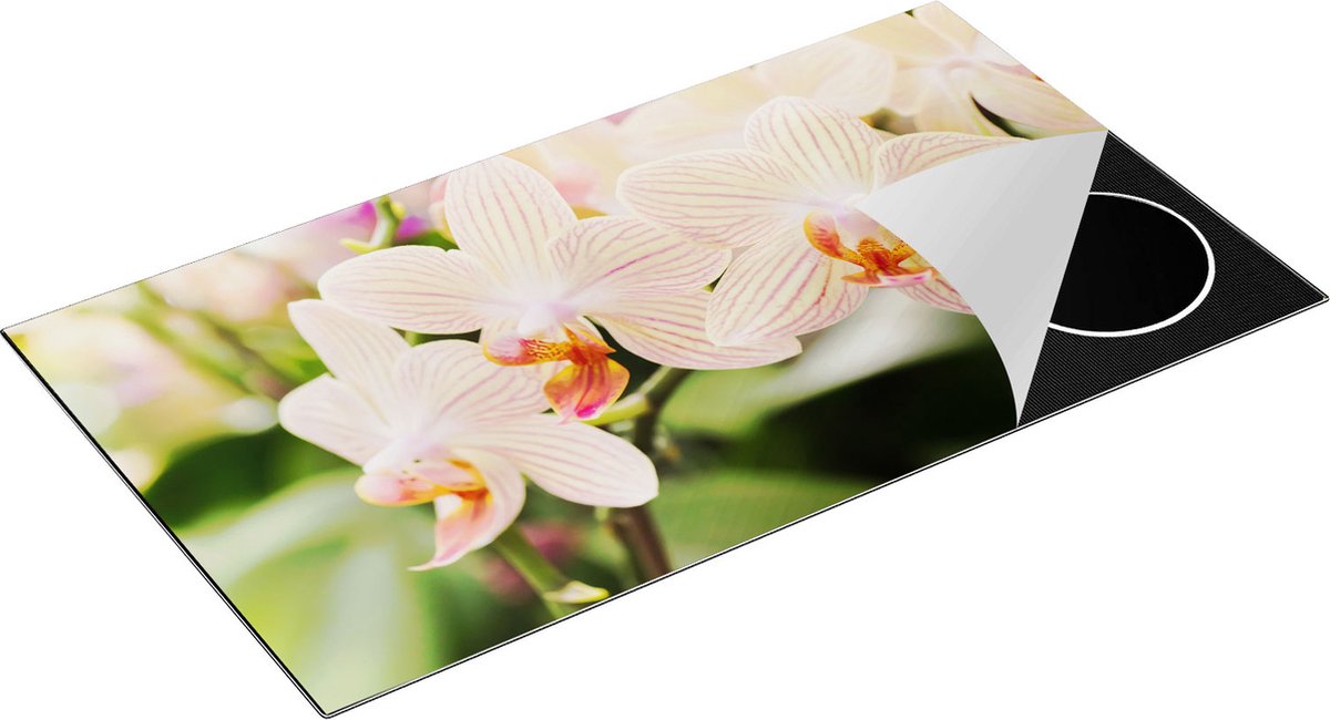 Chefcare Inductie Beschermer Gestreepte Witte Orchidee Bloemen - 95x55 cm - Afdekplaat Inductie - Kookplaat Beschermer - Inductie Mat