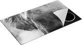 Chefcare Inductie Beschermer Olifantenkop - Olifant - Zwart Wit - 91,2x52 cm - Afdekplaat Inductie - Kookplaat Beschermer - Inductie Mat