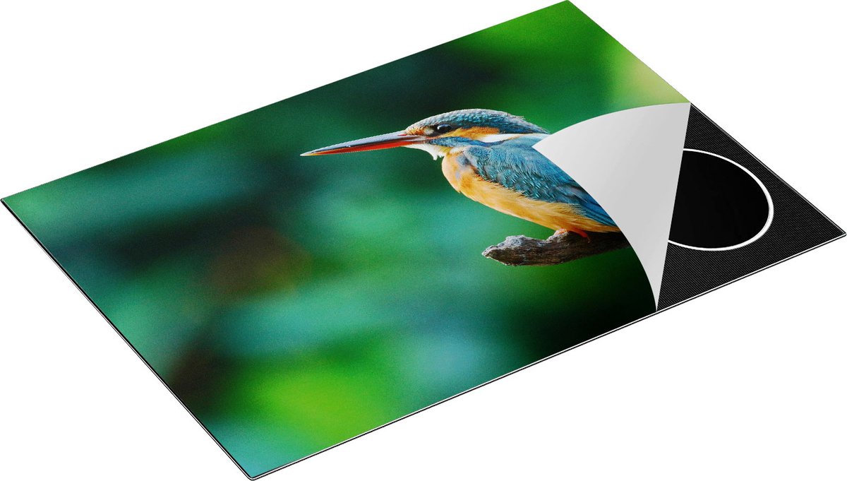 Chefcare Inductie Beschermer Blauw Oranje IJsvogel op een Tak - 77x51 cm - Afdekplaat Inductie - Kookplaat Beschermer - Inductie Mat
