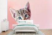 Behang - Fotobehang Kitten - Blauw - Roze - Breedte 320 cm x hoogte 240 cm