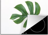 KitchenYeah® Inductie beschermer 71x52 cm - Botanisch blad op een witte achtergrond - Kookplaataccessoires - Afdekplaat voor kookplaat - Inductiebeschermer - Inductiemat - Inductieplaat mat