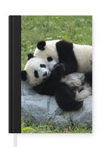 Notitieboek - Schrijfboek - Pandas - Gras - Steen - Notitieboekje klein - A5 formaat - Schrijfblok