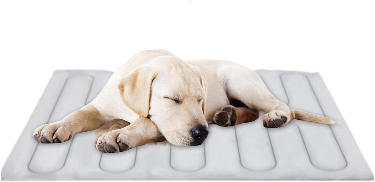 Koelmat Hond - Hondenkoelkussen - Warmte Ontlasting - Directe Koeling - L - Grijs