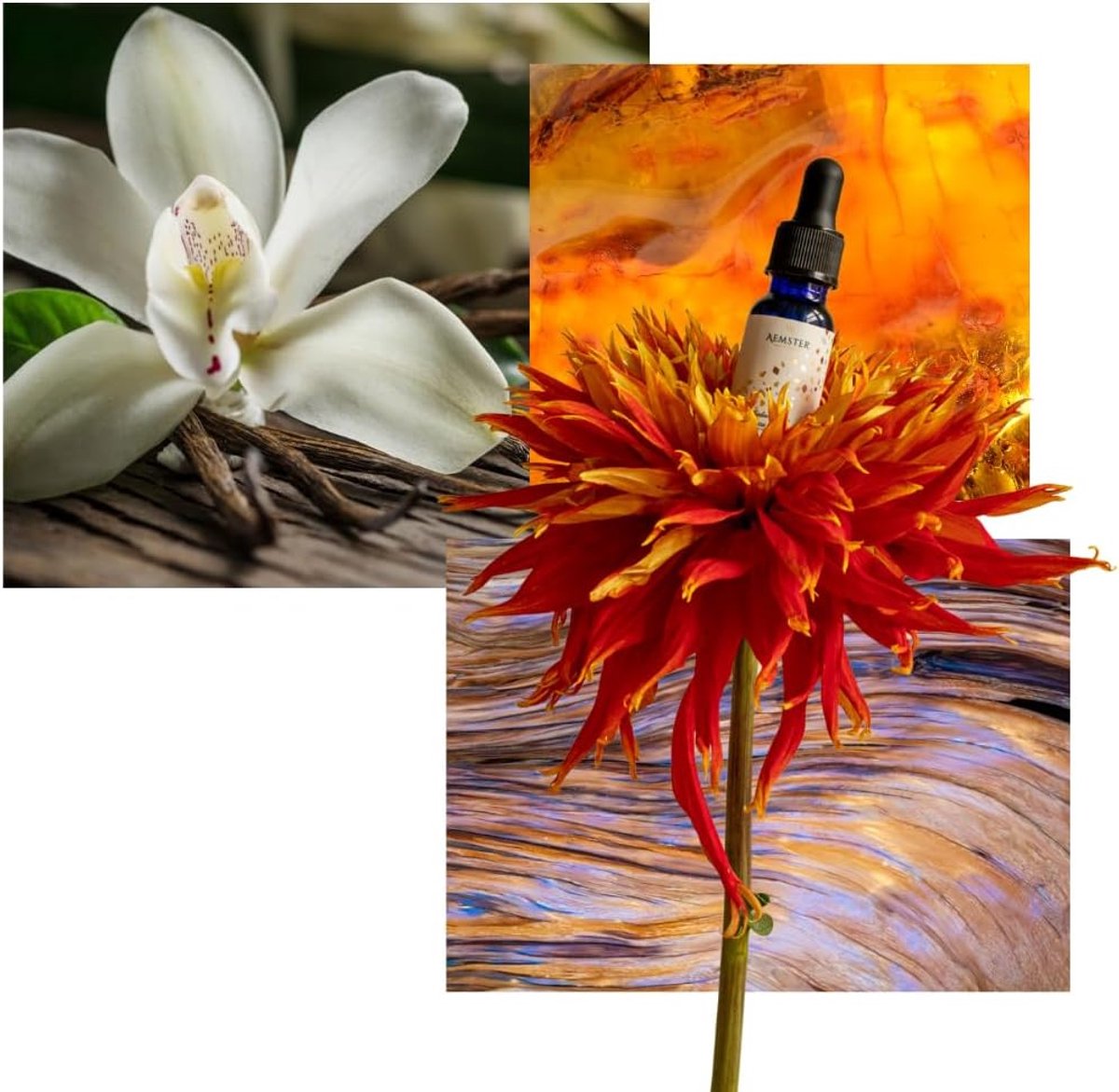 SnelShoppen - Santal Solscape Geuroliën 15ml - Aroma Diffuser Geur - Sandelhout, Kardemom, Droge Amber - Huisparfum voor Ontspanning en Sfeer