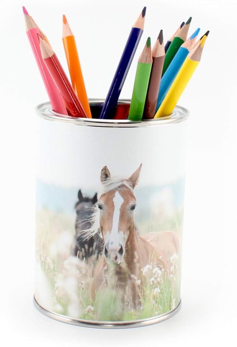 Thijox - Pennenbeker Paarden incl. 12 Driehoekige Kleurpotloden | Kinderpennenkoker, Pennenhouder Bureau Organizer voor Meisjes en Jongens