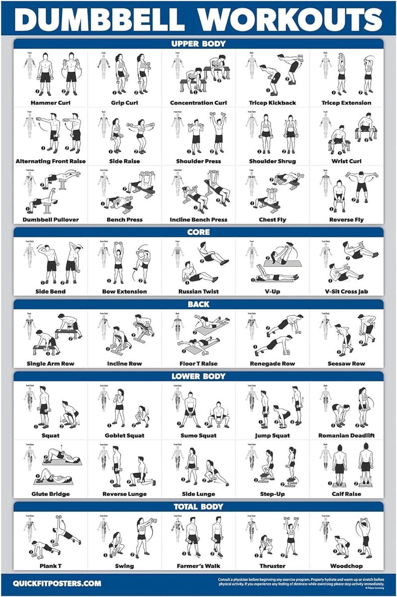 Oefenposter Hanteltraining 45,7 x 61 cm - Dubbelzijdig gelamineerd - Duurzaam en overzichtelijk - ShopVlot