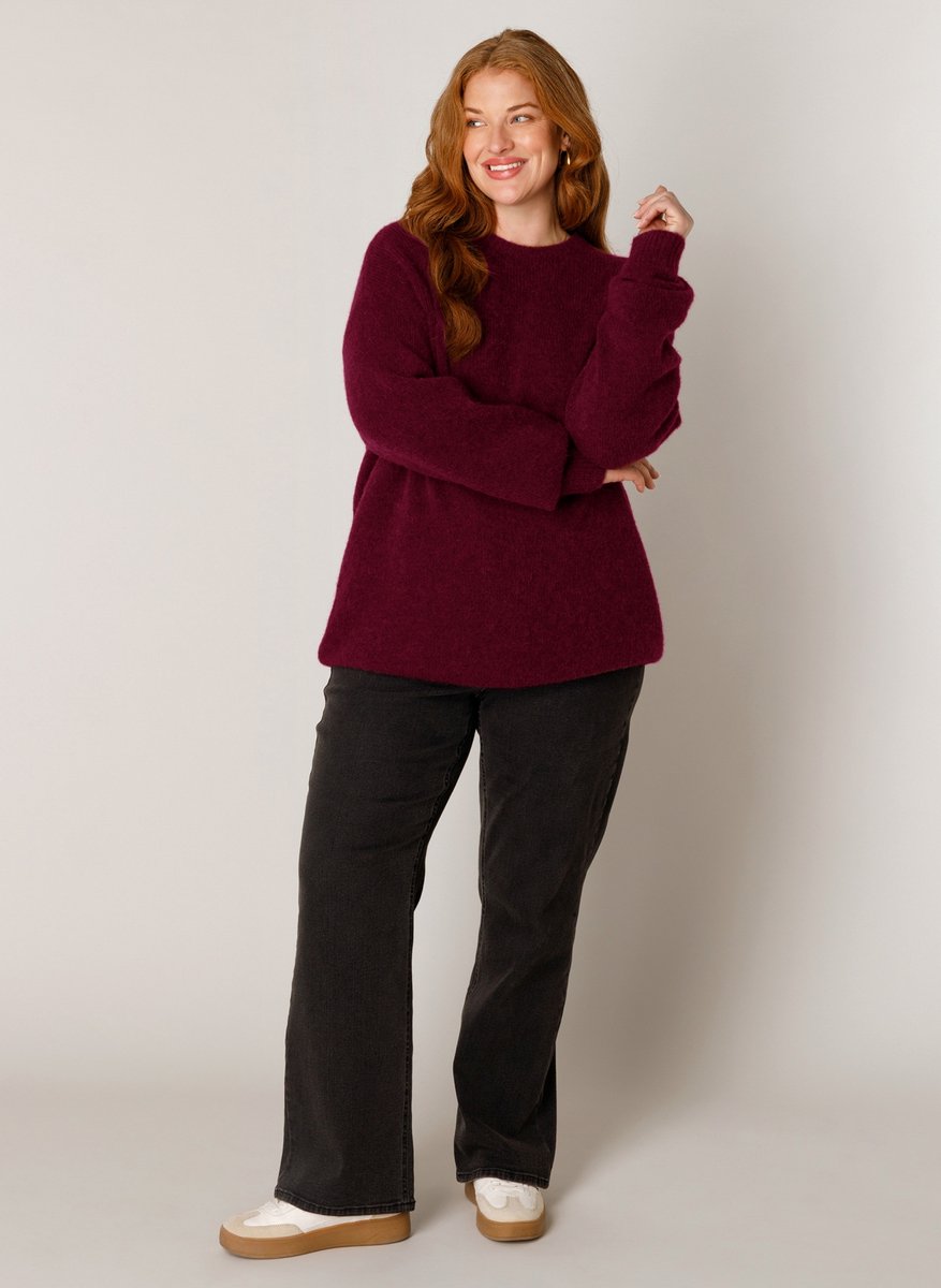 BASE LEVEL CURVY Yanara Tops - Wine Red - maat 3(52)