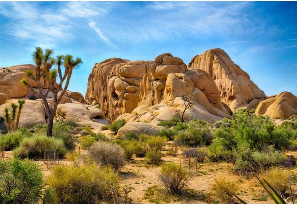 7x5ft Desert Background Joshua Tree National Park Sandstone Rock Desert Cactus Photography Backdrop Dry Arid Desert - ShopVlot