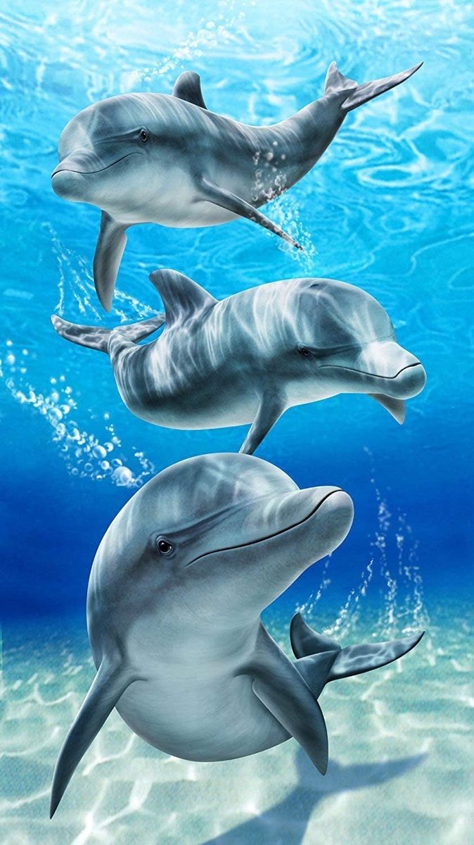 YISUMEI - Shower/beach towel - Baron bay dolphins - 70 cm x 140 cm - ShopVlot
