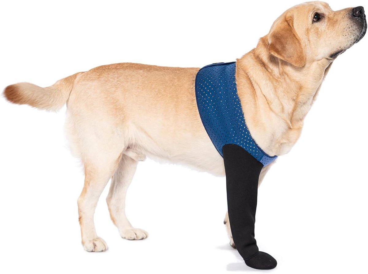 COODEO Dog Socks to Prevent Licking Paws, Healing Boots and Paw Pads with Non-Slip Bottom for Wound Protection - ShopVlot