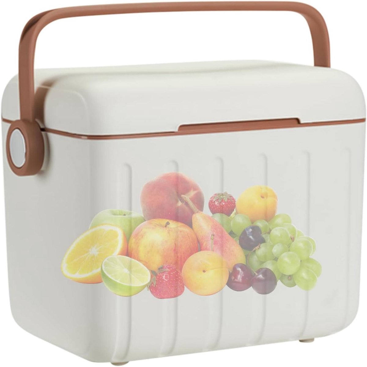 Koelbox 6 Liter - Thermobox Draagbaar - Buitenactiviteiten - Met 6 Koelaccu's - 27 x 24 x 19 cm - Wit