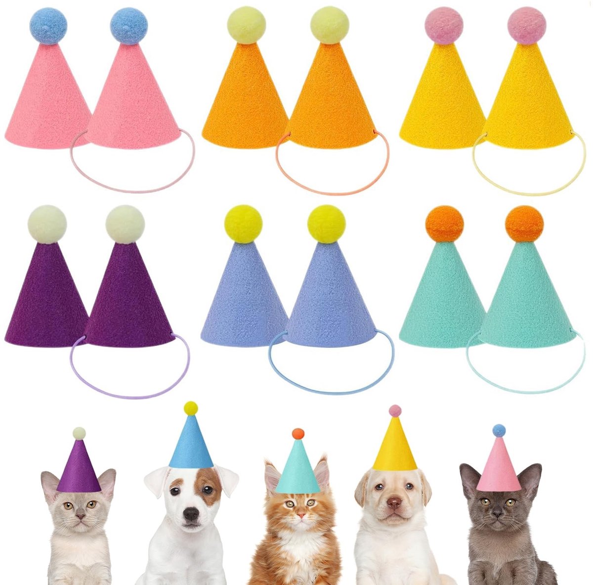 Solidchoice - 12 Stuks Mini Vilten Feesthoeden voor Knuffeldieren