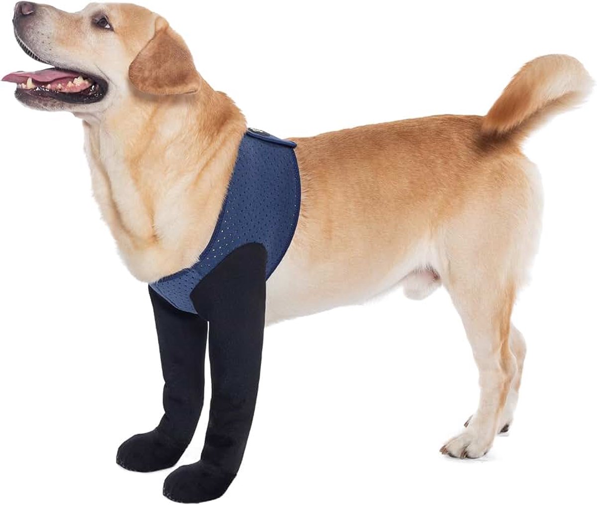 Hondensokken en pootbeschermers - Antislip, waterdichte hondenlaarzen om het likken van poten te voorkomen, wonden te beschermen en helpt herstel na operatie (Blauw, XL)