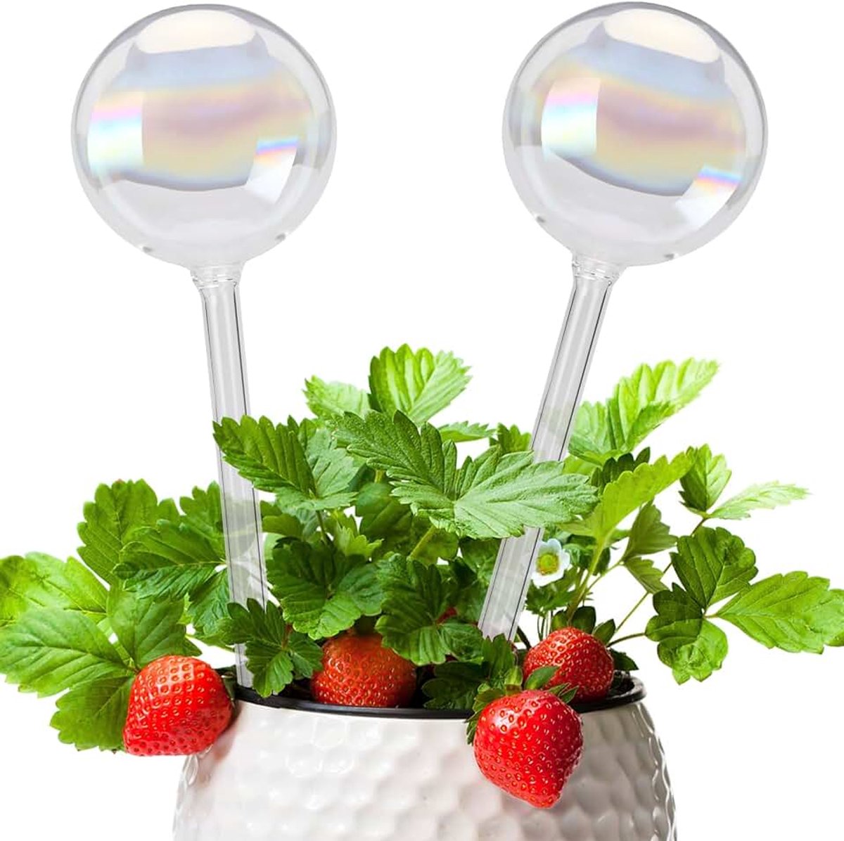 Set van 2, automatische plantenbewateringsballen, bewateringssysteem, pot, zelfbewaterende gloeilampen, waterdispenser voor planten, bloemen en tuin