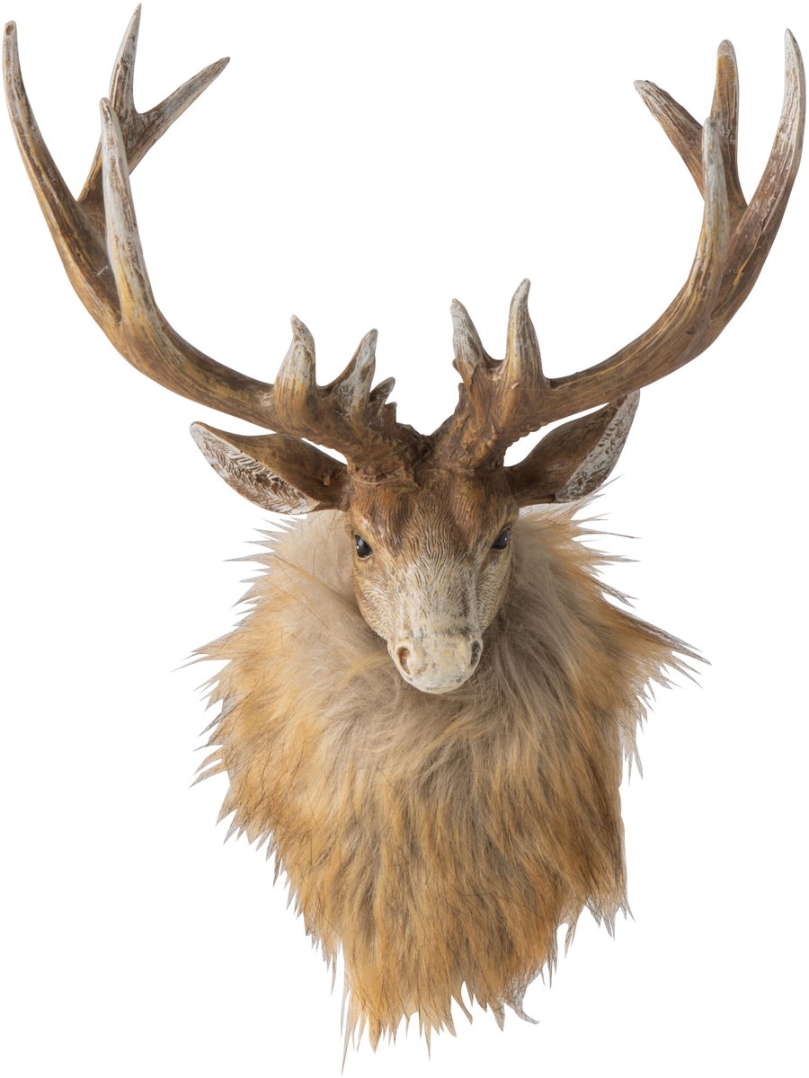 J-Line wanddecoratie Hert Kop - polyresin - bruin/lichtbeige - small