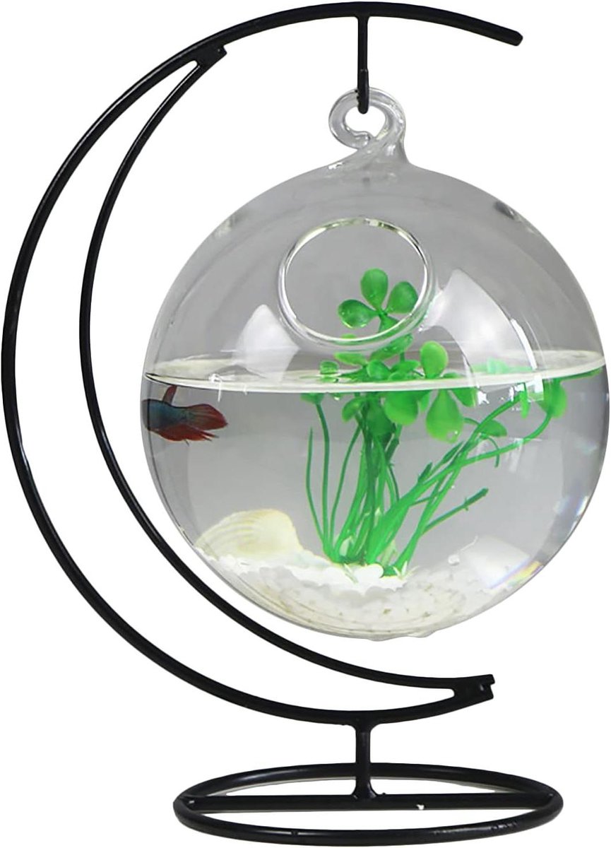 Glazen Aquarium - Viskom Hangend - Thuisdecoratie - Ruimtebesparend Ontwerp - 15 cm Diameter - Transparant