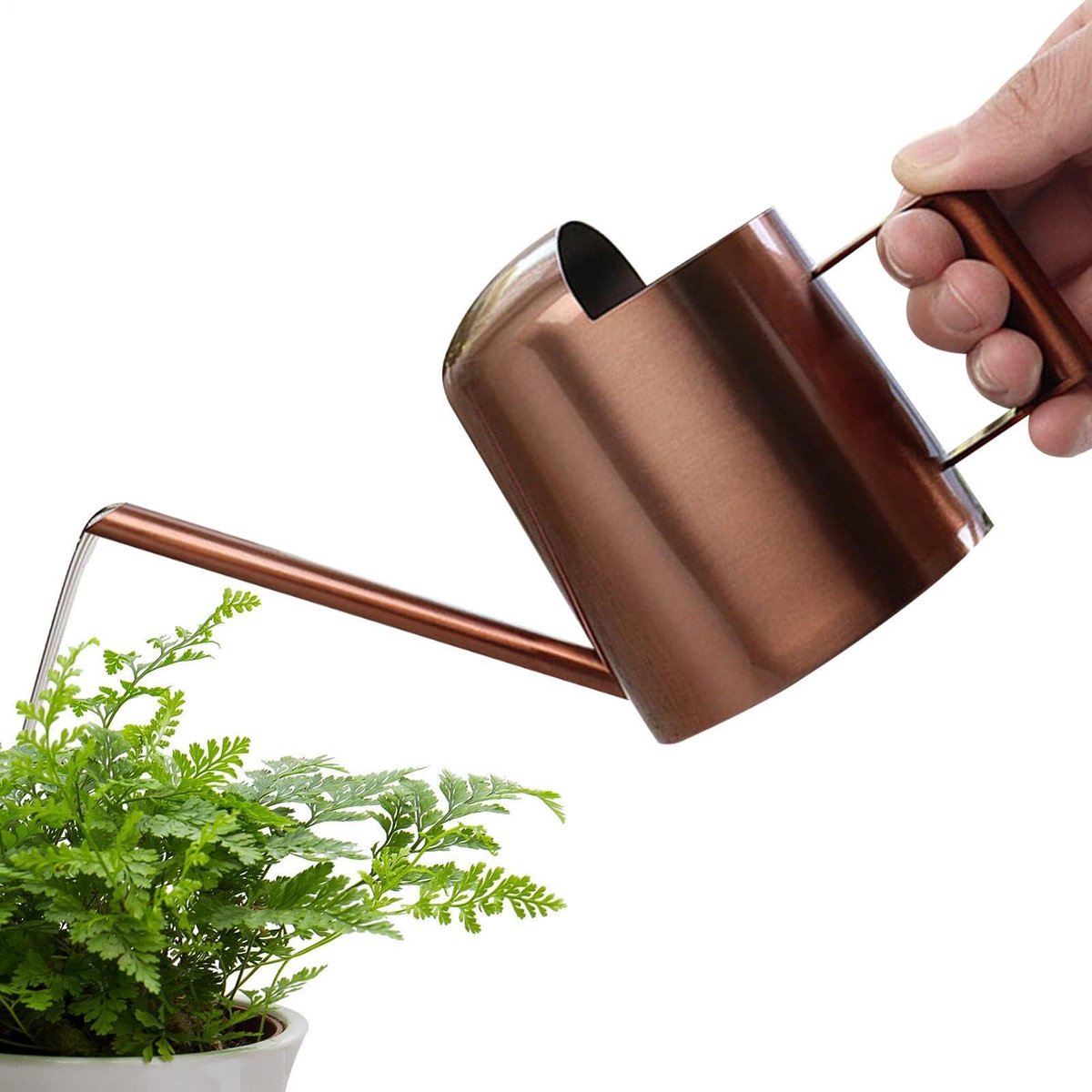 gieter RVS tuinwaterkan | 10oz Mini Lange Tuit Planten Waterkoker Voor Tuinman Kleine Potplanten